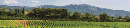 Marché aux Vins La Roche-sur-Yon