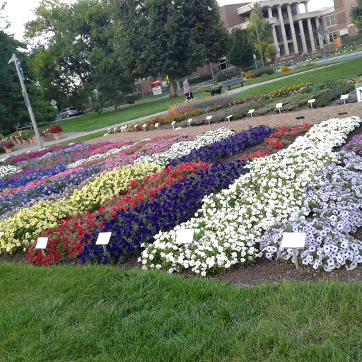 Discount Store «Kmart», reviews and photos, 15200 E Colfax Ave, Aurora, CO 80011, USA