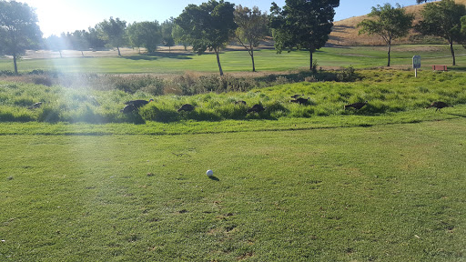 Golf Course «Delta View Golf Course», reviews and photos, 2232 Golf Club Rd, Pittsburg, CA 94565, USA