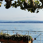 Photo n°1 de l'avis de U..e fait le 08/10/2020 à 15:08 sur le  Zum Alten Fass à Meersburg