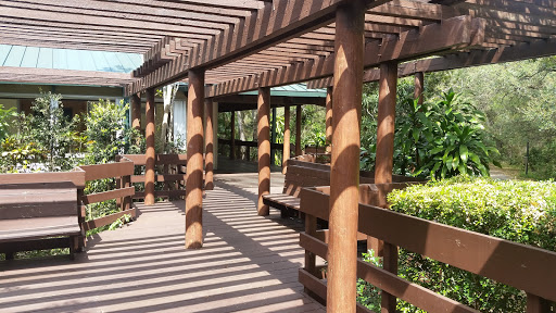 Park «Tree Tops Park», reviews and photos, 3900 SW 100th Ave, Davie, FL 33328, USA