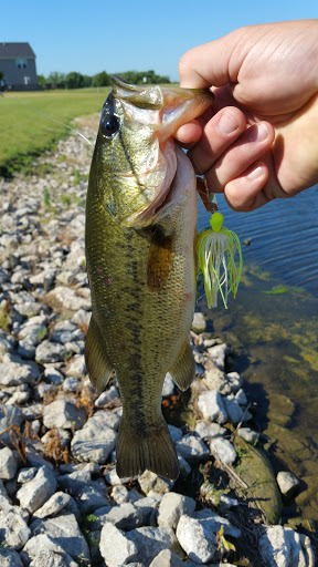 Golf Course «Stone Creek Golf Club», reviews and photos, 2600 S Stone Creek Blvd, Urbana, IL 61802, USA