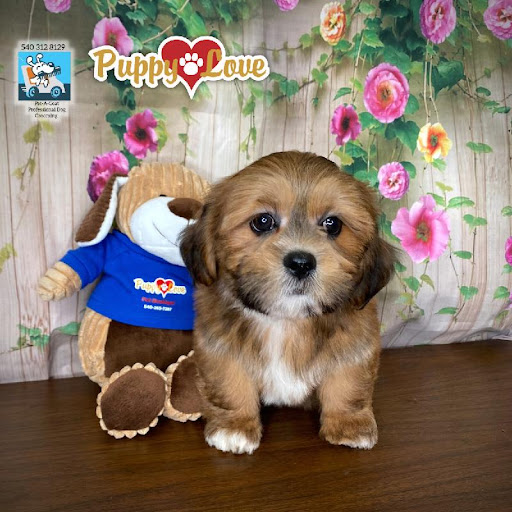 Pet Store «Puppy Love», reviews and photos, 4802 Valley View Blvd NW Uf290, Roanoke, VA 24012, USA