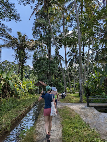 Bali Bird Walks