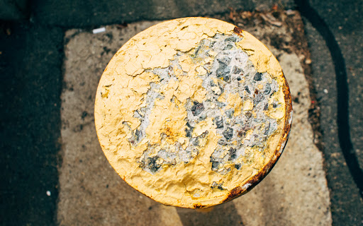 Book Store «Barnes & Noble», reviews and photos, 444 Broadway, Saugus, MA 01906, USA