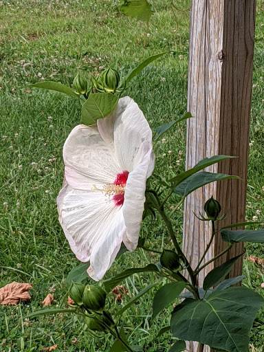 Winery «Vinoklet Winery», reviews and photos, 11069 Colerain Ave, Cincinnati, OH 45252, USA