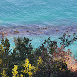 Photo n°2 de l'avis de Penelope.h fait le 02/02/2022 à 14:25 sur le  La Cantinetta del Conero à Osimo