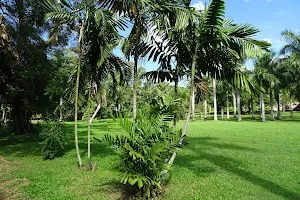 Lautoka Botanical Gardens image
