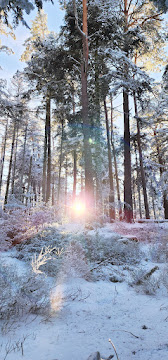 Photo n° 1 de l'avis de Bruno Guenot fait le 01/02/2024