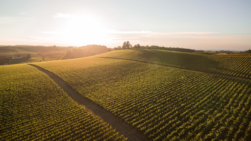 Winery «Coria Estates», reviews and photos, 8252 Redstone Ave SE, Salem, OR 97306, USA