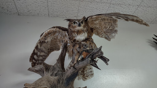 County Government Office «Oregon Ridge Nature Center», reviews and photos, 13555 Beaver Dam Rd, Cockeysville, MD 21030, USA