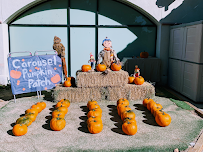 Carousel Montessori Preschool - Photo 4 - Car repair in Camarillo, CA, Thousand Oaks