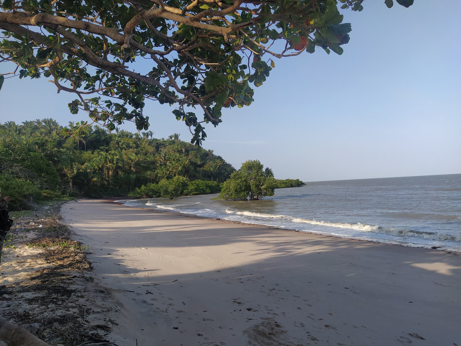 Photo de Praia do Leste avec sable lumineux de surface