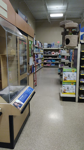 Pet Supply Store «PetSmart», reviews and photos, 6060 Long Prairie Rd, Flower Mound, TX 75028, USA