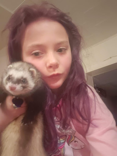 Pet Supply Store «Petco Animal Supplies», reviews and photos, 5239 Harvey St, Norton Shores, MI 49444, USA