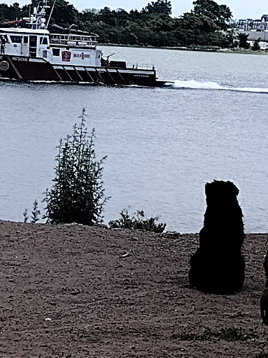 Park «Dorchester Shores Reservation Victory Road Park», reviews and photos, Victory Rd, Dorchester, MA 02122, USA