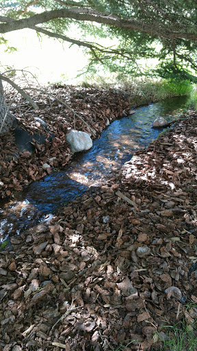 Live Music Venue «Benedict Music Tent and Harris Concert Hall», reviews and photos, 960 N 3rd St, Aspen, CO 81611, USA