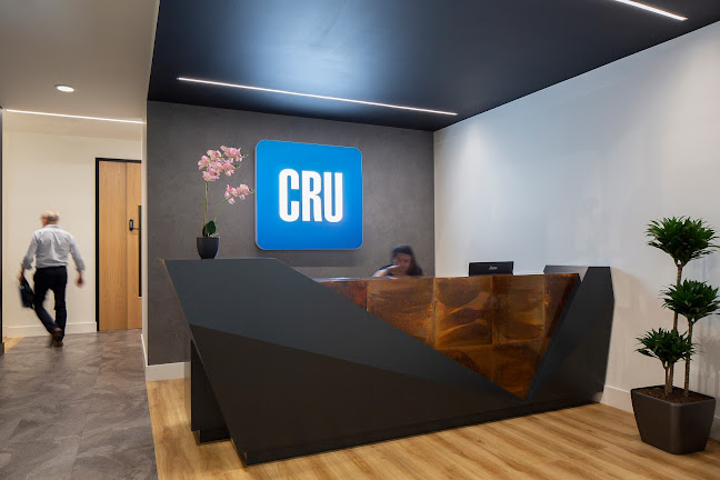 CRU International Ltd - Financial Consultant