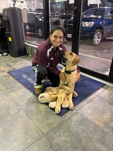 Car Dealer «Liccardi Chrysler Dodge RAM», reviews and photos, 130 US-22, Green Brook Township, NJ 08812, USA