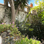 Photo n°2 de l'avis de Isaac.. fait le 07/07/2023 à 15:24 sur le  Pretensioso à Óbidos