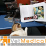 Clinicas esterilizar gatos Valparaiso