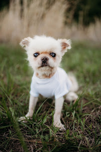 Rebecca Franco Photography - Photo 8 - Car repair in , Kissimmee