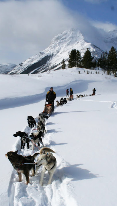 Mad Dogs & Englishmen Inc- Dogsled Expeditions