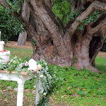 Photo n°3 de l'avis de Gian.u fait le 25/08/2019 à 15:08 sur le  Villa Anitori Prestige Relais e Spa à Loro Piceno