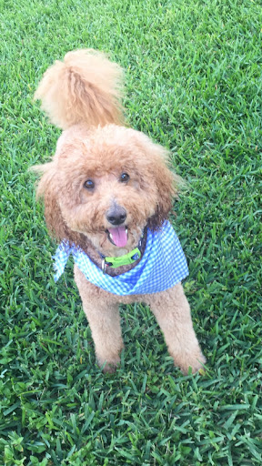 Insurance Agency «Allstate: Lisa Faina», reviews and photos