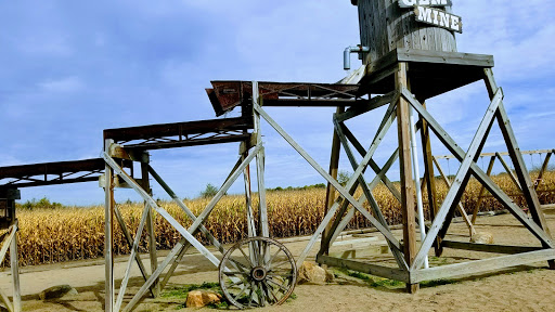 Christmas Tree Farm «Piney Acres», reviews and photos, 1115 E 1000 N, Fortville, IN 46040, USA