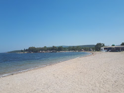 Ozbek Beach'in fotoğrafı plaj tatil beldesi alanı