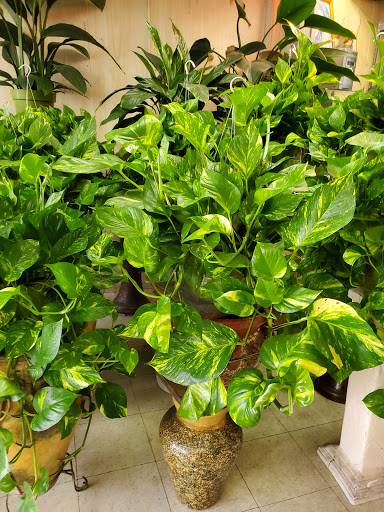 Florist «Daisy Flowers», reviews and photos, 626 Cherry Ave, Long Beach, CA 90802, USA