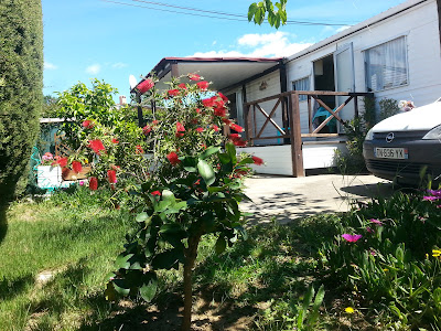 Camping Agua Dulce I à Saint-Nazaire