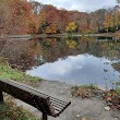 Lily Pond, Mill Creek Park