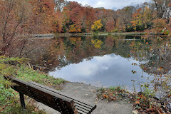 Lily Pond, Mill Creek Park