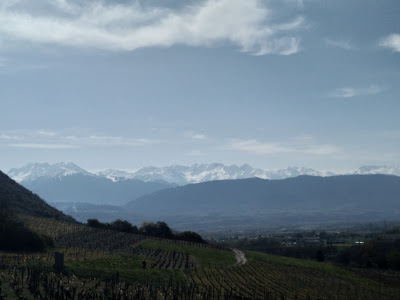 Cécatre à Chignin