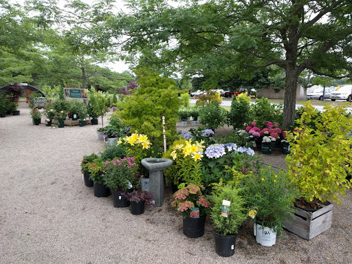 Florist «Chaves Gardens Inc», reviews and photos, 935 E Main Rd, Middletown, RI 02842, USA