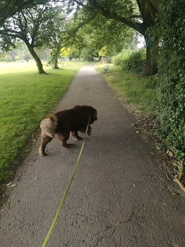 Little Large Giant Dog Walking & Training - Manchester