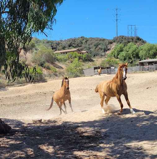 Carmel Creek Ranch