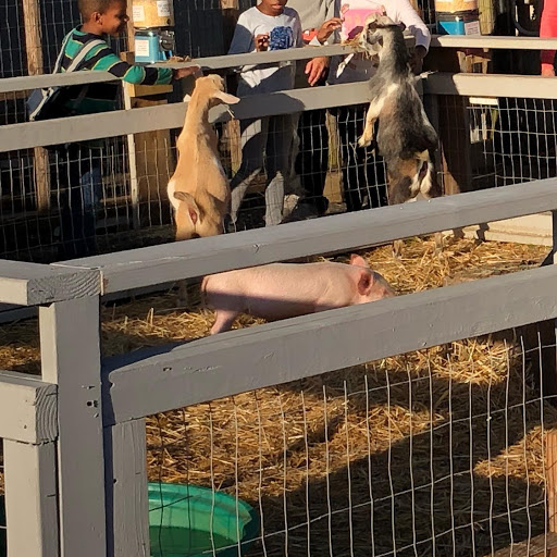 Atlantic Nursery & Garden Shop