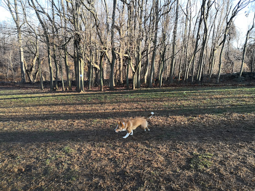 Park «Paws Place Dog Park», reviews and photos, Broadfield Rd, New Rochelle, NY 10804, USA