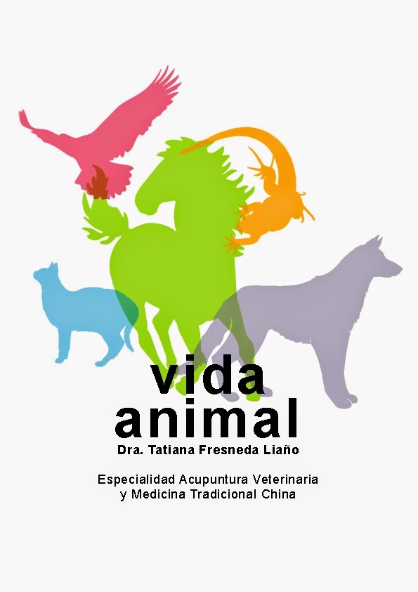 Centro Veterinario Vida Animal
