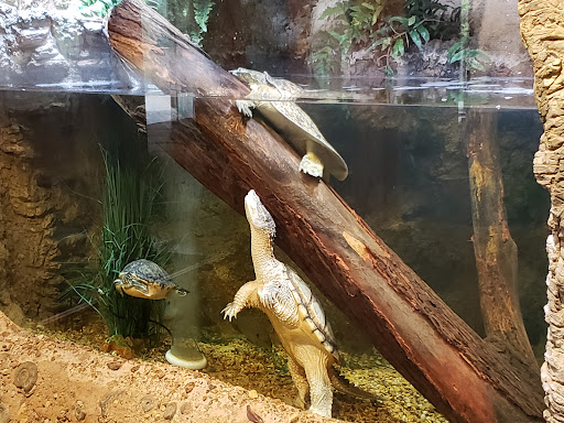 Park «River Legacy Parks», reviews and photos, 701 NE Green Oaks Blvd, Arlington, TX 76006, USA