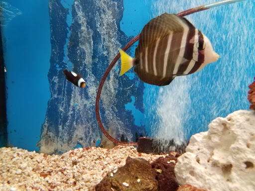 Pet Store «Pet World Warehouse Outlet», reviews and photos, 2984 S 108th St, Milwaukee, WI 53227, USA