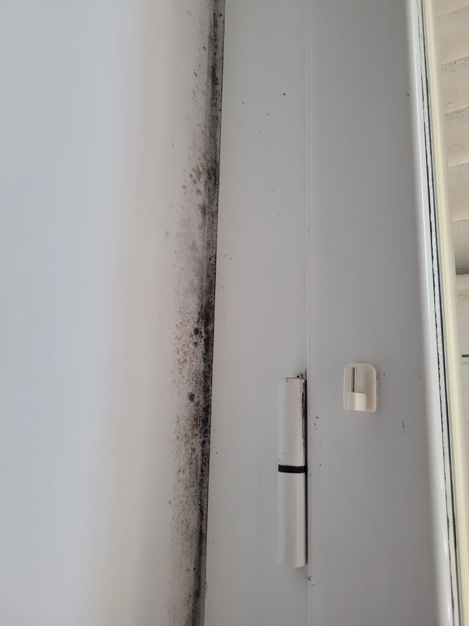 Photo n° 4 de l'avis de Christia.a fait le 18/03/2024 à 14:58