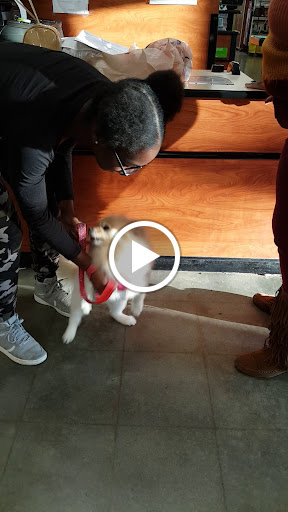 Pet Supply Store «PetSmart», reviews and photos, 1986 Mt Zion Rd, Morrow, GA 30260, USA