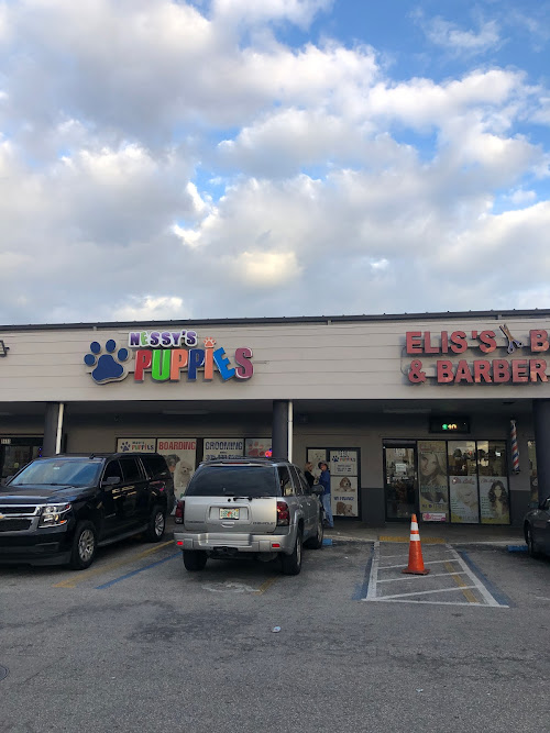  alt='This place is great! The staff is awesome! I was looking for a particular breed in a specific color and when I called'