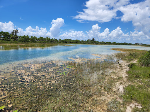 Park «Miramar Pineland Park», reviews and photos, 3600 S University Dr, Miramar, FL 33025, USA