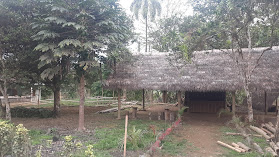 Cabañas Bella jungla