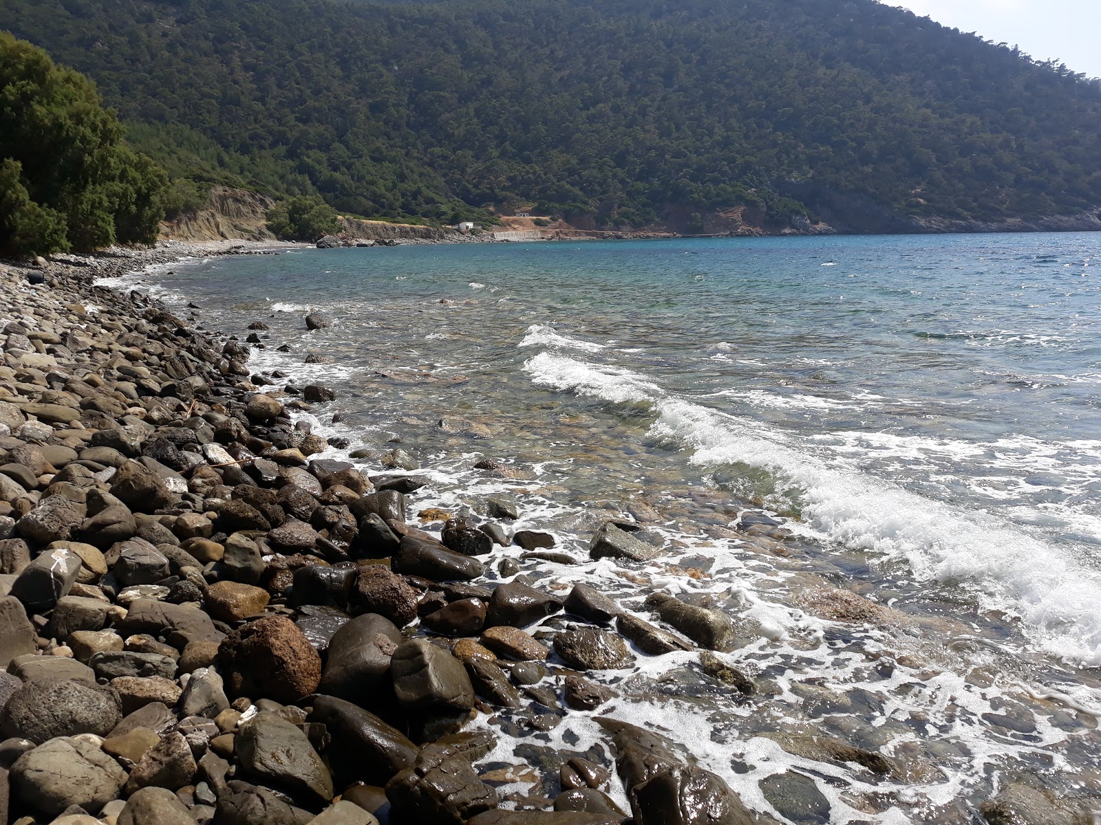 Paralia Glifada IV'in fotoğrafı çok temiz temizlik seviyesi ile